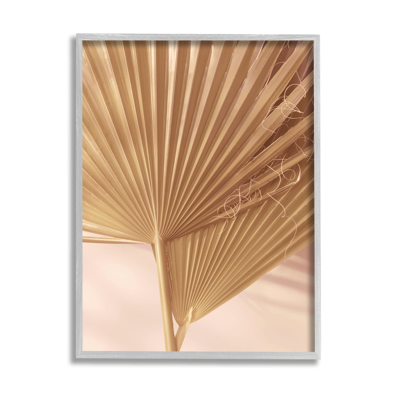 Stupell Industries Two Palm Fronds Sun Bleached Photography Tropical Plants Framed Wall Art